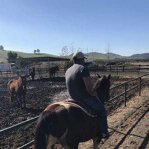 Meet your Posher, Julio